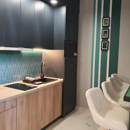 公寓 Kaposvar Apartman